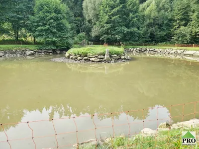 Immobilie kaufen in Horn – 7 000 m², € 164.500 – Bild 6 von 21