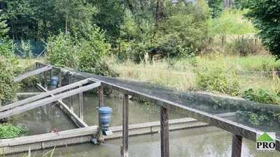 Immobilie kaufen in Horn – 7 000 m², € 164.500 – Bild 18 von 21