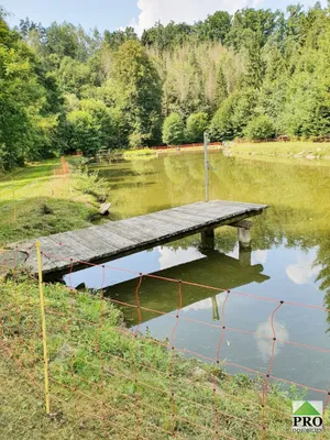 Immobilie kaufen in Horn – 7 000 m², € 164.500 – Bild 14 von 21