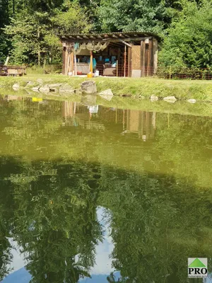 Immobilie kaufen in Horn – 7 000 m², € 164.500 – Bild 15 von 21