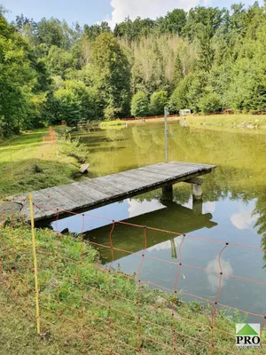Immobilie kaufen in Horn – 7 000 m², € 164.500 – Bild 2 von 21
