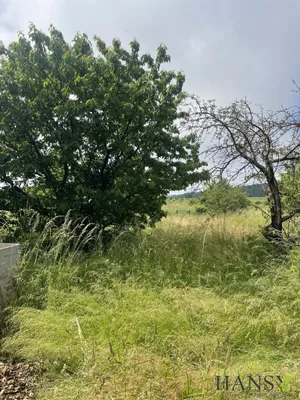 Grundstück kaufen in Baden – 2 059 m², € 1.150.000 – Bild 12 von 12