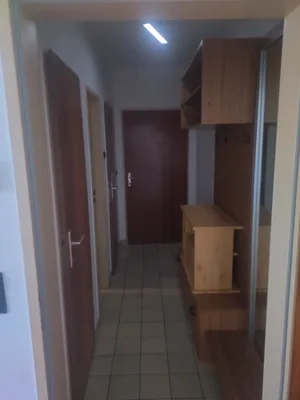 1-Zimmer-Wohnung mieten in Linz – 40 m², € 480 – Bild 7 von 7