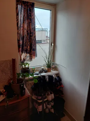 1-Zimmer-Wohnung mieten in Wien – 45 m², € 790 – Bild 26 von 42