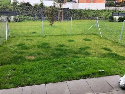 Wohnung kaufen in Wels-Land – 90 m², € 394.000 – Bild 8 von 14