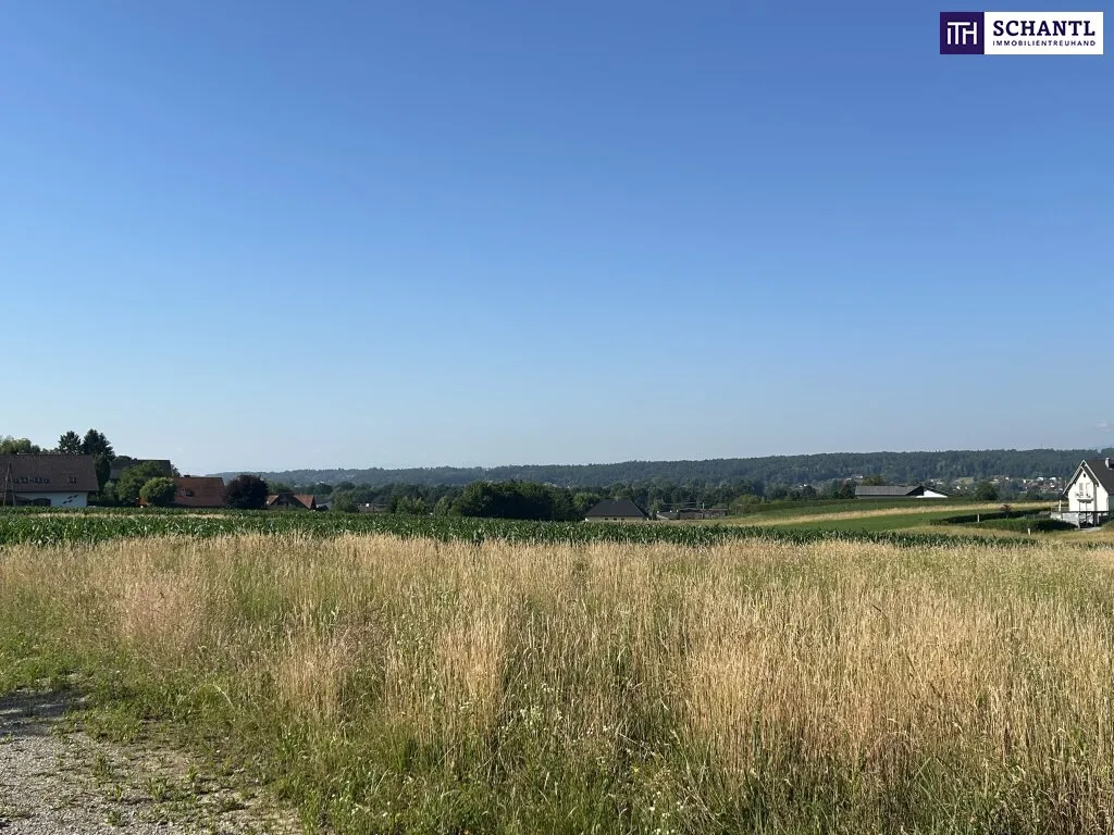 Traumgrundstück mit Weitblick in familiärer Wohnlage! In 8501 Lieboch! - Widok 3