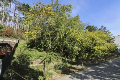 Grundstück kaufen in Baden – 639 m², € 120.000 – Bild 2 von 3