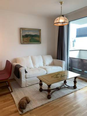 2-Zimmer Wohnung, 44m2, 1220 Wien, ab sofort – Bild 2