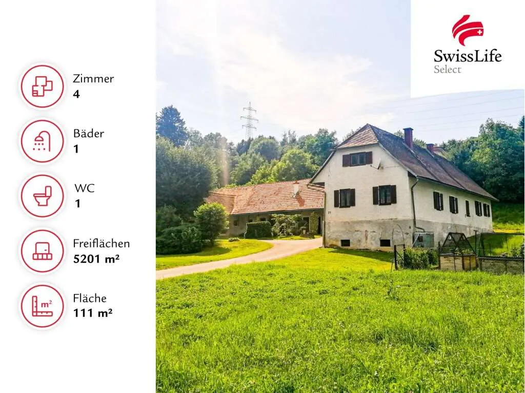 Gleisdorf: 5.000 m² Bauland (WA 0,2-0,4) | ehemaliger Bauernhof | viel Platz für viele Möglichkeiten - Ansicht 2