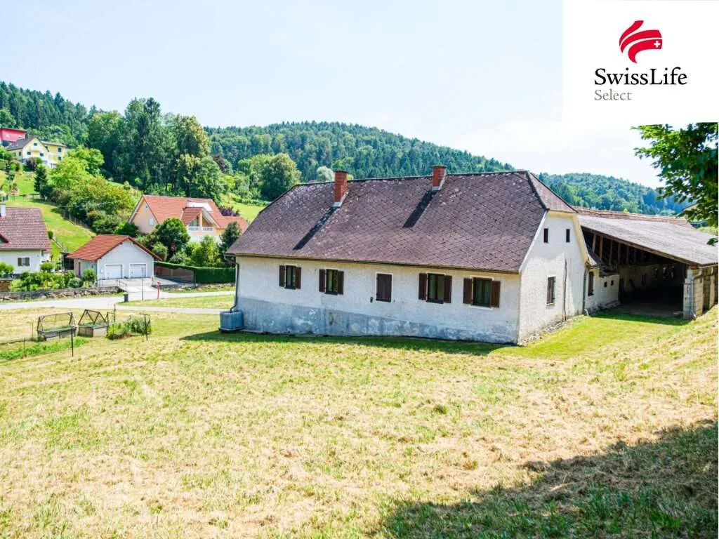 Gleisdorf: 5.000 m² Bauland (WA 0,2-0,4) | ehemaliger Bauernhof | viel Platz für viele Möglichkeiten - Ansicht 3