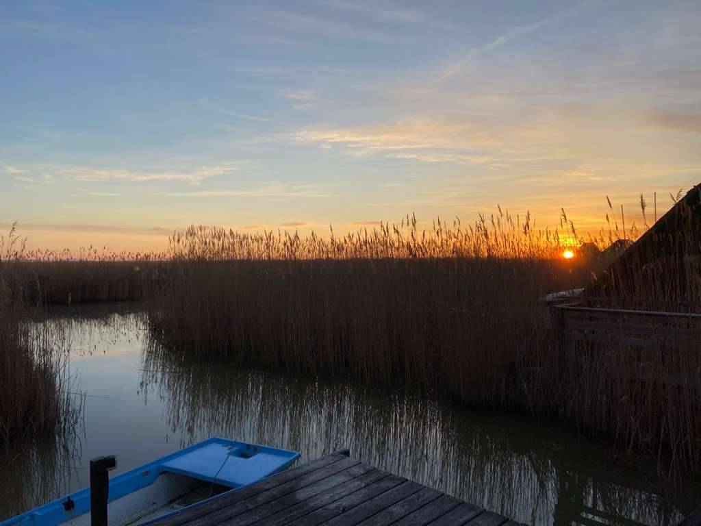 Seehütte im Neusiedlersee - einziehfertig oder vermietfertig - Ansicht 3