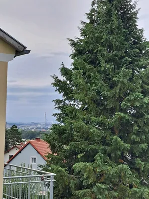 2-Zimmer-Wohnung mieten in Urfahr-Umgebung – 35 m², € 612 – Bild 12 von 18