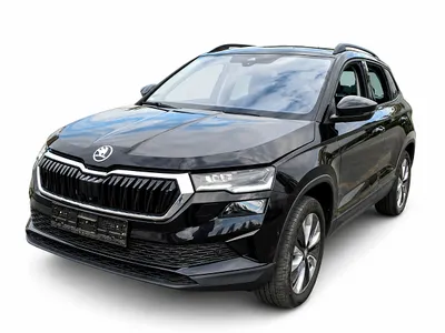 Skoda Karoq 2,0 TDI 4x4 DSG Style*MATRIX*NAVI*360 CAM...