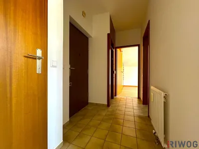 2-Zimmer-Wohnung mieten in Wien – 50 m², € 924 – Bild 8 von 12