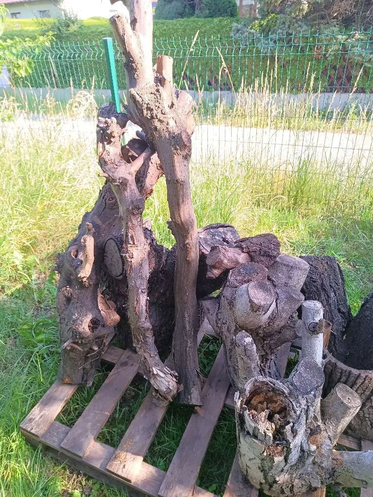Deko Holzstämme - Insektenhotel, etc, € 5,- (2601 Eggendorf)