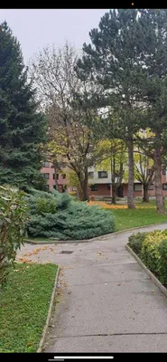 3-Zimmer-Wohnung kaufen in Wien – 78 m², € 440.000 – Bild 2 von 13