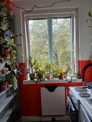 Gemeindewohnung – Bild 2