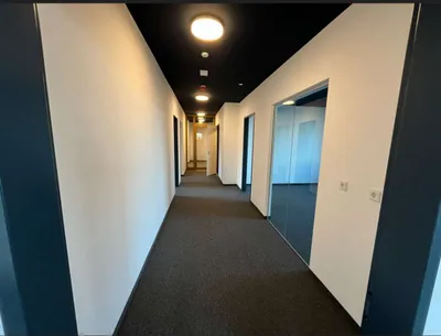 Immobilie mieten in Baden – 30 000 m² – Bild 4 von 9
