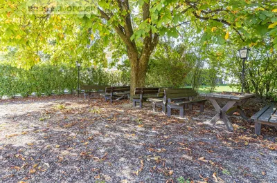 Gewerbeimmobilie kaufen in Perg – 909 m² – Bild 8 von 18