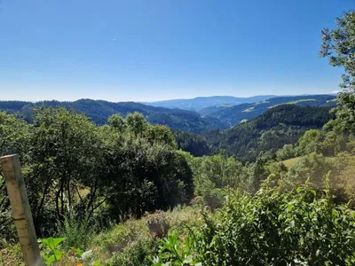 Grundstück kaufen in Voitsberg – 619 000 m², € 1.450.000 – Bild 3 von 4