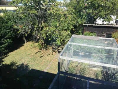 Immobilie kaufen in Mödling – 160 m², € 890.000 – Bild 8 von 16