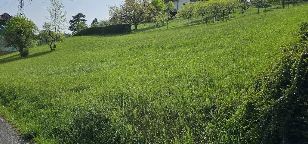Sonniges Baugrundstück nur 10 min von Graz mit sehr guter Infrastruktur - Ansicht 2