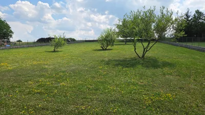 5-Zimmer-Haus kaufen in Mistelbach – 140 m², € 550.000 – Bild 9 von 26