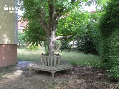 5-Zimmer-Haus kaufen in Waidhofen an der Thaya – 1 005 m², € 179.000 – Bild 8 von 41