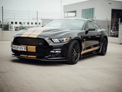 Ford Mustang Shelby GT-H "Executive Car" 13 OF 16