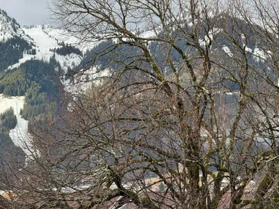 9-Zimmer-Haus kaufen in Reutte – 206 m², € 679.000 – Bild 22 von 22