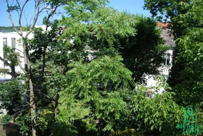 4-Zimmer-Wohnung kaufen in Baden – 108,92 m², € 380.000 – Bild 8 von 29