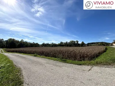 Immobilie kaufen in Wels-Land – 24 000 m², € 3.600.000 – Bild 4 von 7