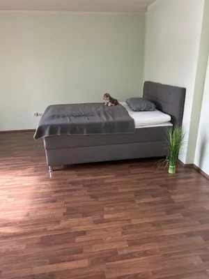 1-Zimmer-Wohnung mieten in Baden – 51 m², € 700 – Bild 5 von 19