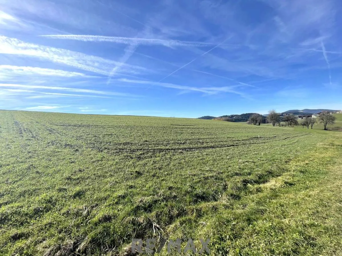 Ihr Platz fürs Eigenheim - vier attraktive Baugrundstücke in Rohrbach - View 3