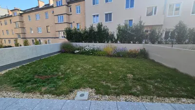 3-Zimmer-Wohnung mieten in Krems an der Donau – 74 m², € 1.600 – Bild 3 von 18