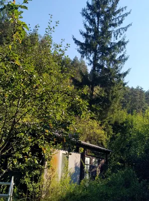 Grundstück kaufen in Neunkirchen – 2 342 m², € 99.000 – Bild 2 von 10