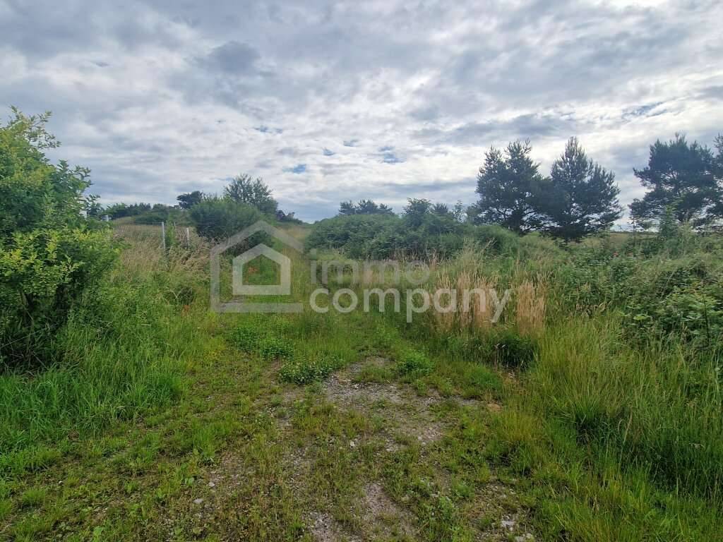 Rarität - Grund mit Teilwidmung Reitplatz/Reitanlage - 10.360 m² um nur 140.000 EUR! - Ansicht 3