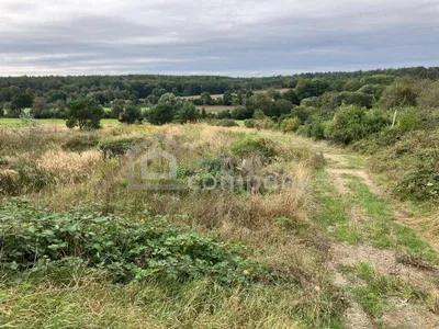 Immobilie kaufen in Oberpullendorf – 10 360 m², € 140.000 – Bild 3 von 4