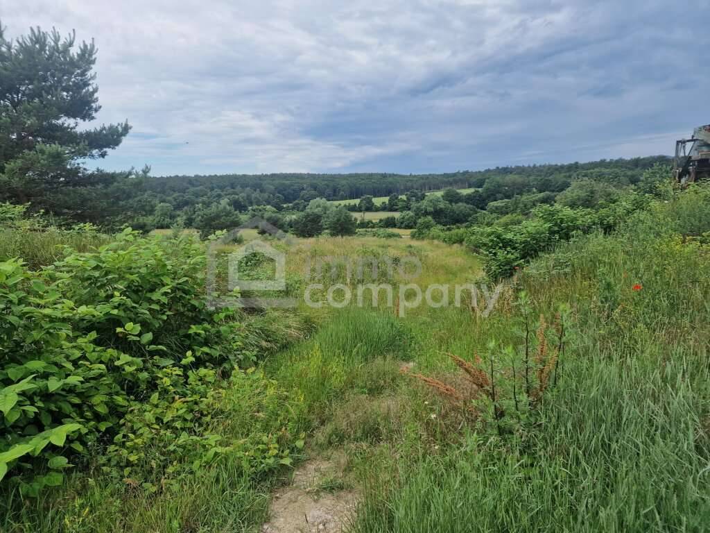 Rarität - Grund mit Teilwidmung Reitplatz/Reitanlage - 10.360 m² um nur 140.000 EUR! - Ansicht 2