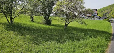 Grundstück kaufen in Graz-Umgebung – 1 617 m², € 265.000