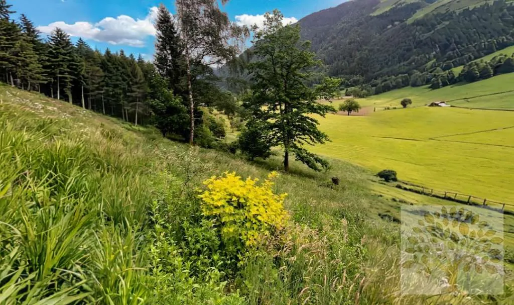 Idyllische Grundstücke in Top Lage nähe Treffen!! - Ansicht 3