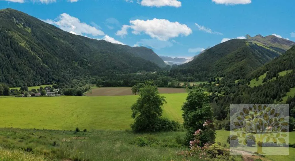 Idyllische Grundstücke in Top Lage nähe Treffen!! - Ansicht 2