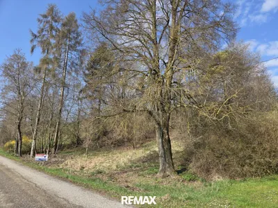 Grundstück kaufen in Steyr-Land – 1 531 m², € 195.000 – Bild 3 von 9
