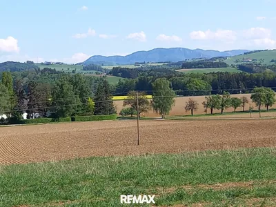 Grundstück kaufen in Steyr-Land – 1 531 m², € 195.000 – Bild 8 von 9