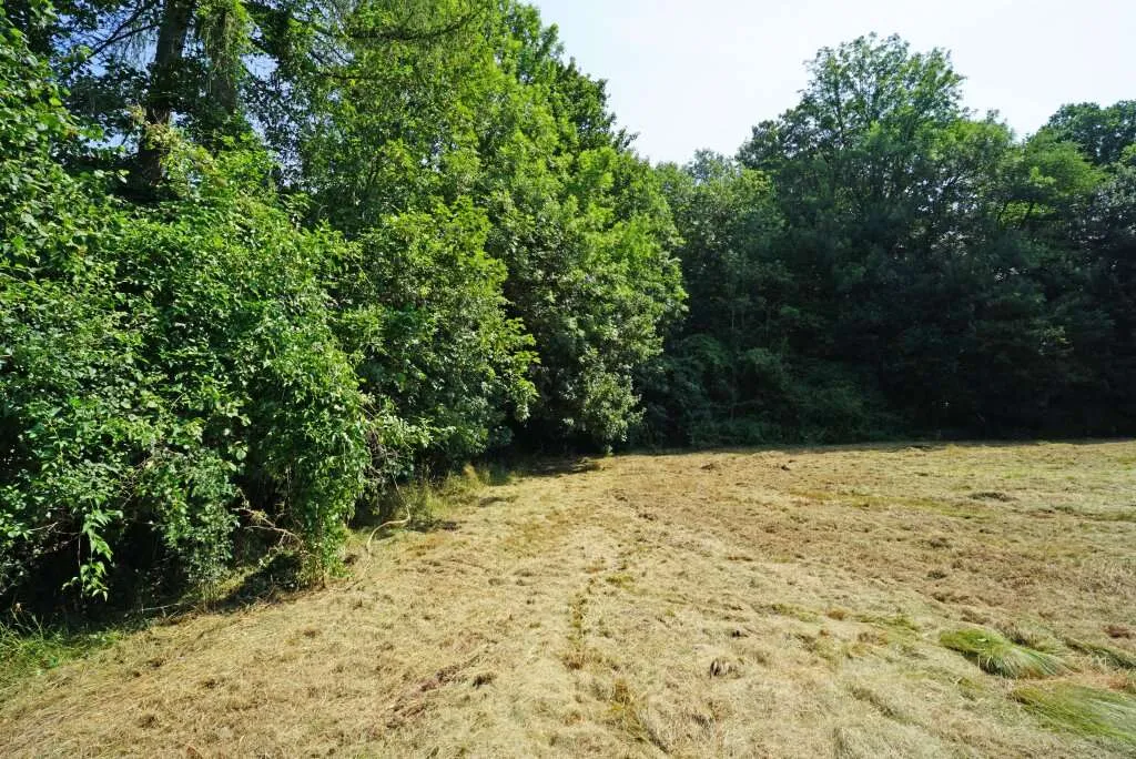 Ebenes Baugrundstück in sonniger Ruhelage - nur 2 km vom Pressbaumer Zentrum - Ansicht 3