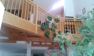 Haus kaufen in Linz Land – 181 m², € 759.000 – Bild 7 von 19