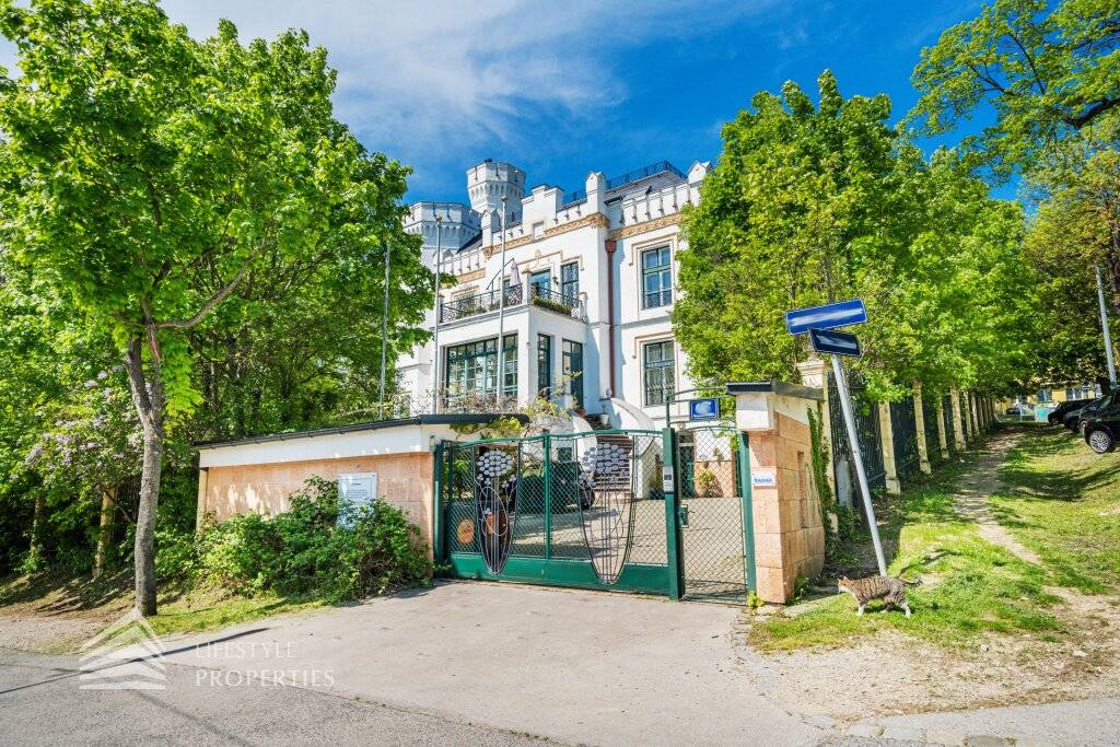 Einzigartige 14-Zimmer Villa mit Pool und Dachterrasse, Nähe Wilhelminenschloss - Ansicht 2