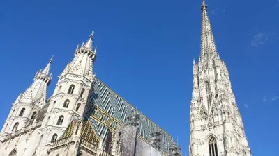 Gewerbeimmobilie mieten in Wien – 600 m² – Bild 4 von 4