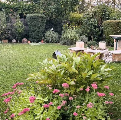 3-Zimmer-Haus kaufen in Baden – 112 m², € 635.000 – Bild 15 von 35
