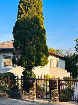 3-Zimmer-Haus kaufen in Baden – 112 m², € 635.000 – Bild 2 von 35